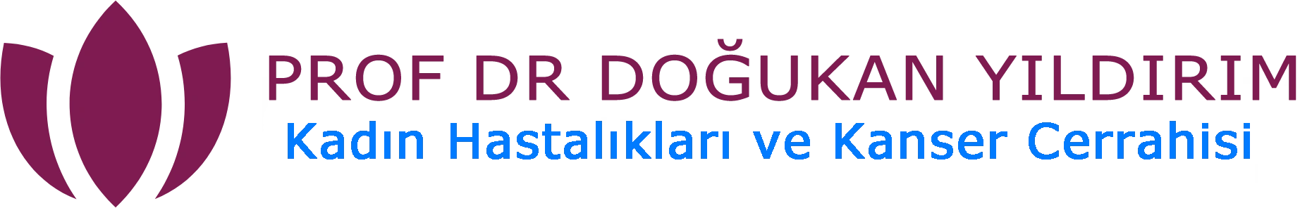 doğukan-yildirim-logo
